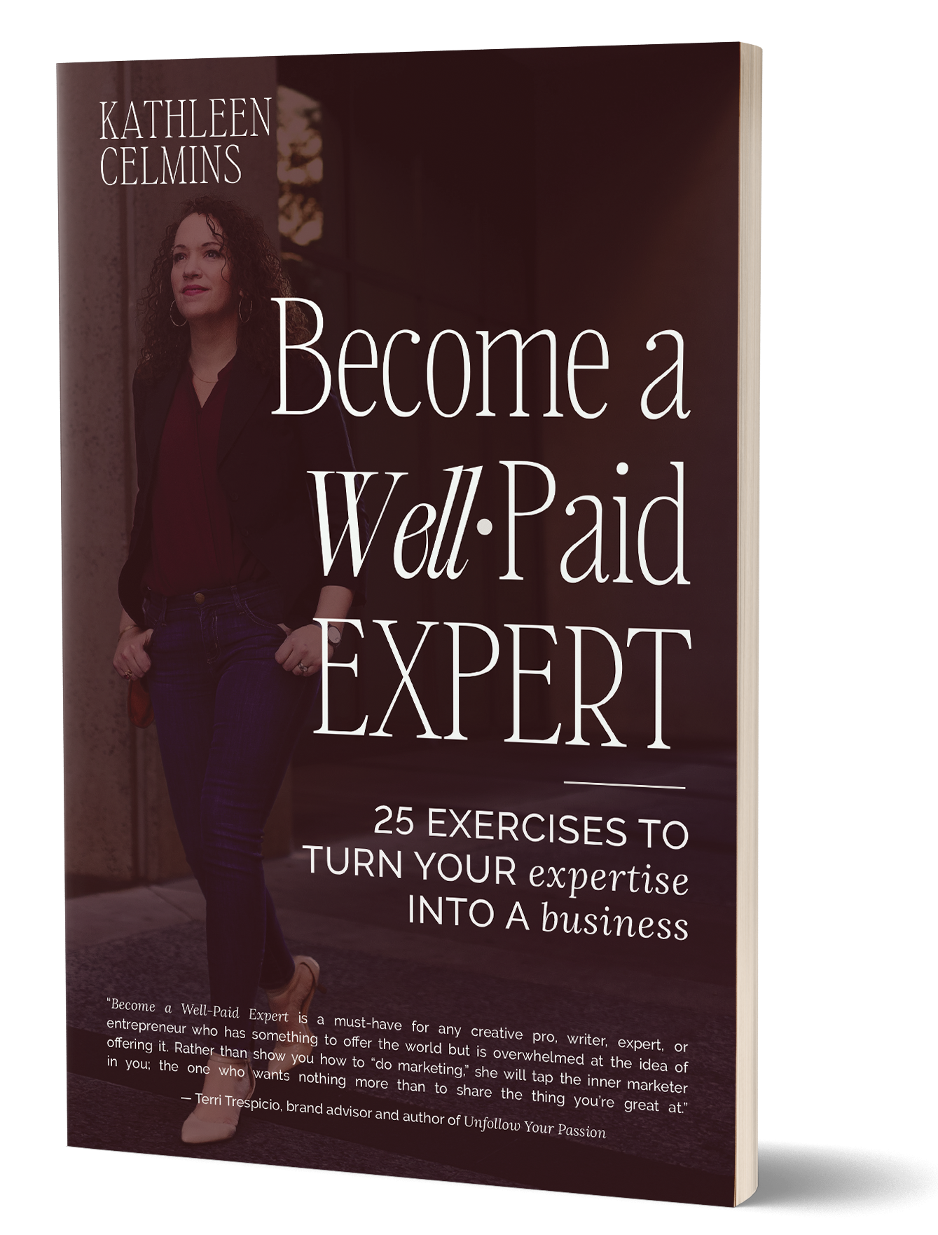 Become a Well-Paid Expert book cover